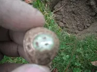 DSCF0030.webp