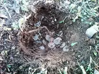 Chesterton_Church_Coin_Spill_112110.webp