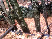 nc finds 11-4-1.webp