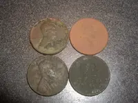 IMGP2582.webp