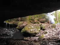 DSCF0036.webp