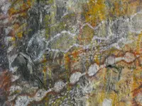 DSCF5056.webp