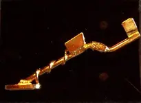 MD Hat Pin.webp