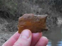 DSCF0070.webp