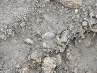 DSCF0081.webp