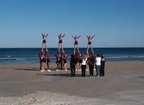 Beach Find.webp