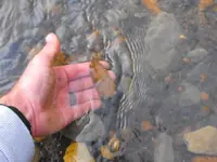 DSCF0100.webp