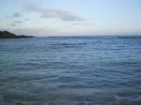 003.webp