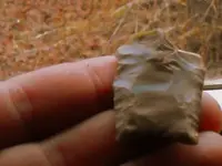 DSCF0021.webp