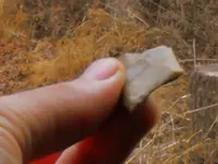 DSCF0023.webp