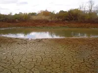 004.webp