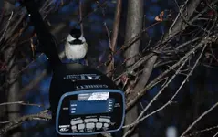 DSC_0353 (2).webp