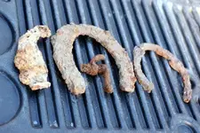 NC FINDS 12-9 001.webp