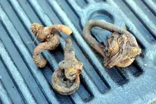 NC FINDS 12-9 006.webp
