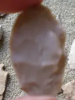 TX Finds8.webp