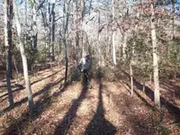me where silver spill found.webp