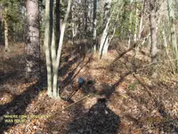 1794FOUND.webp