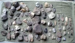 TX Finds4.webp