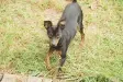 avatar_38044.webp