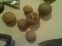 IMG00361-20100823-2125.webp