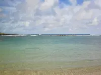 009.webp