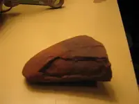 20101229_1.webp