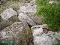 Image=2.webp