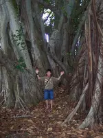 100_0994.webp