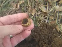 Gold Fresh Out.webp