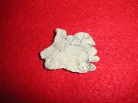 Lead Hand Right.webp