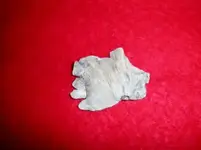 Lead Hand Lefdt.webp