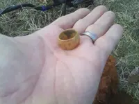 Ring in the Field.webp
