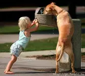 Pet Shots #3.webp