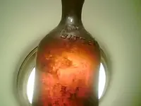 fbitter.webp