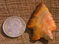 DSCF0015.webp