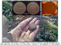 1792_Rochedale_halfpenny.webp