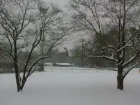 snow.webp