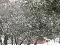 004.webp