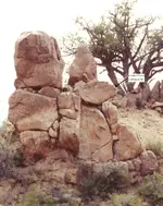 West view then.webp
