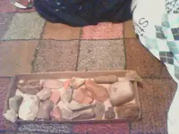 Picture0056.webp