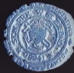 seal reverse negative sharpen.webp