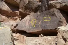 glyph4.webp
