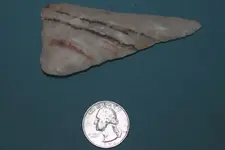 triangle point 1.webp