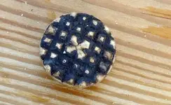 button123.webp