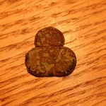 NC FINDS 12-9 016.webp