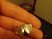 metal detecting 250.webp