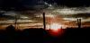 avatar_18807.webp