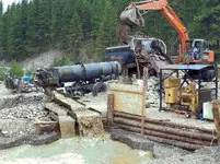 operational plant.webp