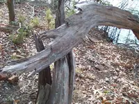 2010 012#5.webp
