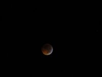 lunar eclips 080.JPG